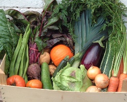 picture of veg box